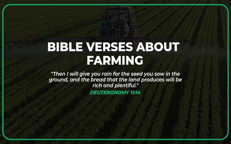 Bible Verses About Farming