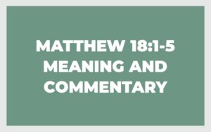 Matthew 18 1 5 Meaning And Commentary The Bible Outlined